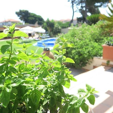 The Orange Grove Garden Room Mýtikas Exterior foto